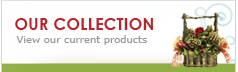 Our Collection